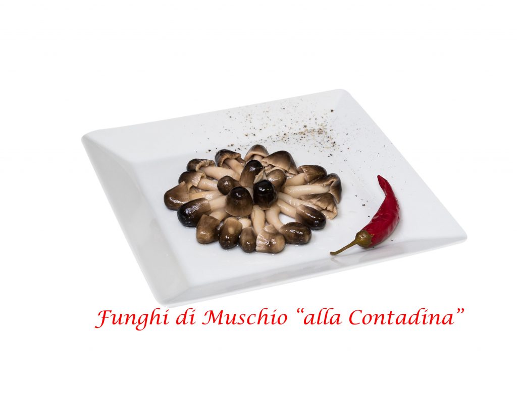 funghi di muschio