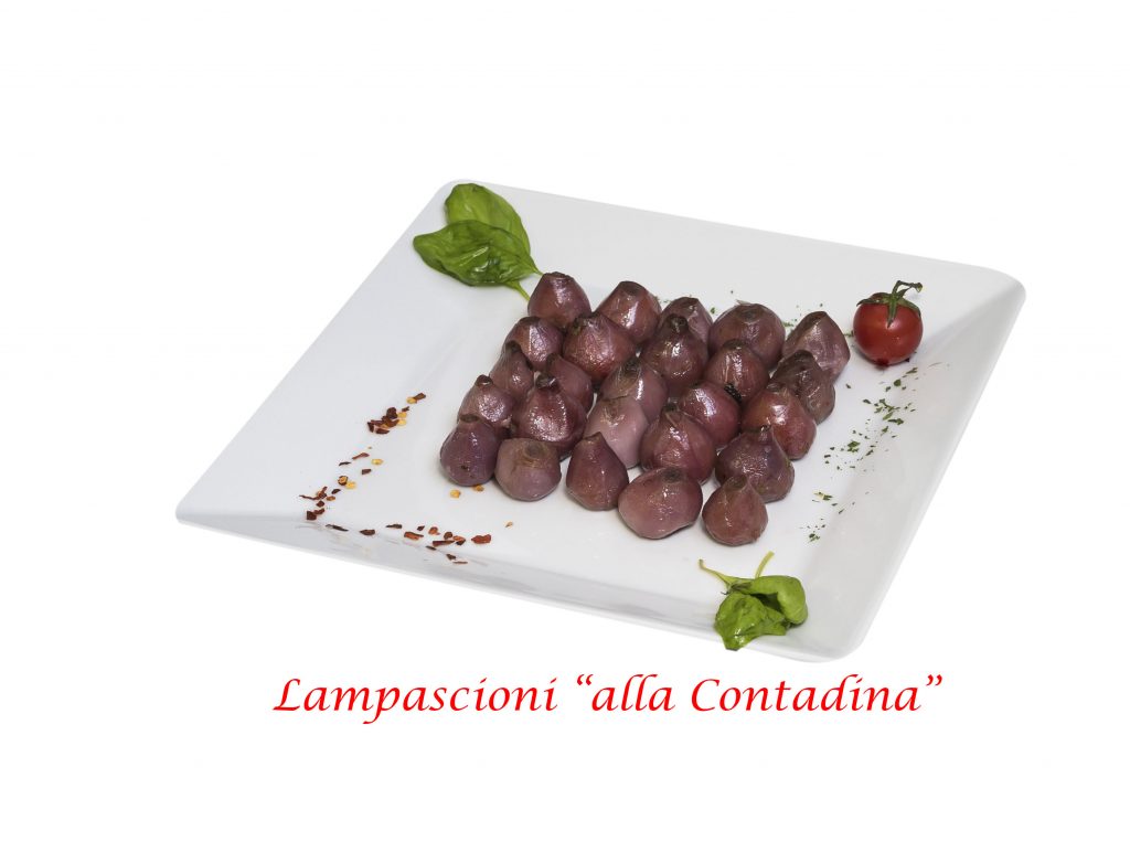 lampascioni contadina