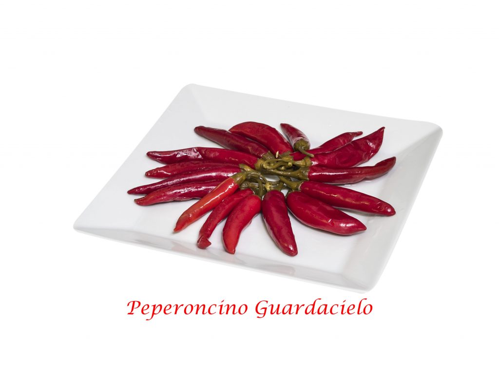 peperoncino guardacielo